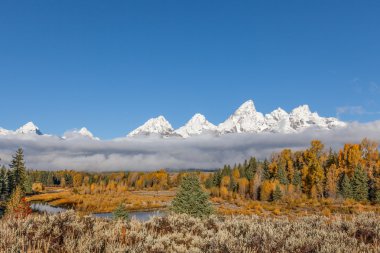 Kar Tetons sonbaharda şapkalı.