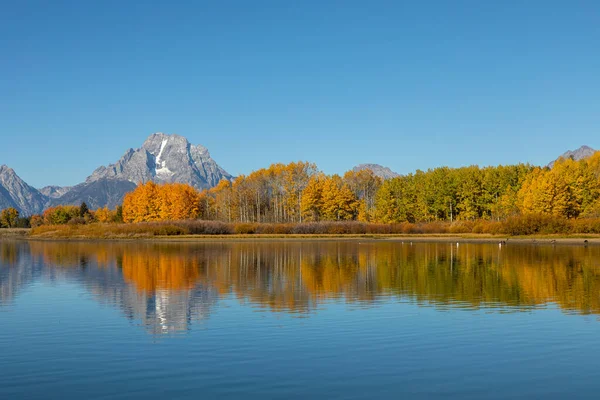 Reflexão Paisagem Cênica Outono Nos Tetons — Fotografia de Stock