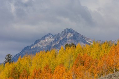 Grand Teton Ulusal Parkı Wyoming 'de sonbaharda manzaralı bir manzara.