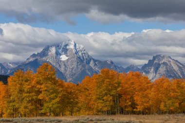 Grand Teton Ulusal Parkı Wyoming 'de sonbaharda manzaralı bir manzara.