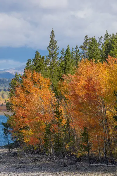 Een Schilderachtig Landschap Grand Teton National Park Wyoming Herfst — Stockfoto