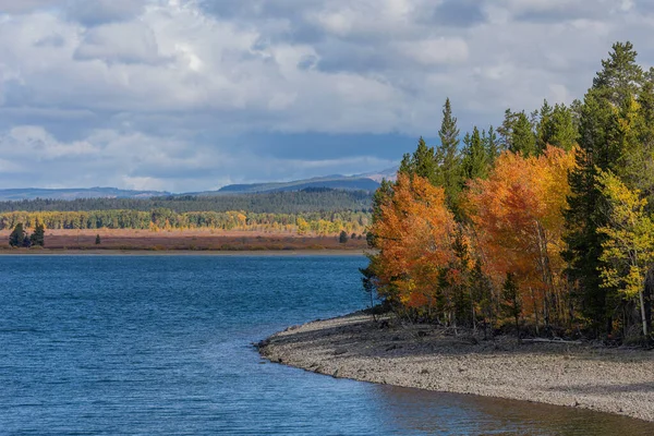 Grand Teton Ulusal Parkı Wyoming Sonbaharda Manzaralı Bir Manzara — Stok fotoğraf