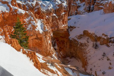 Doğal doğa kemeri Bryce Canyon Ulusal Parkı Utah Witner manzarası