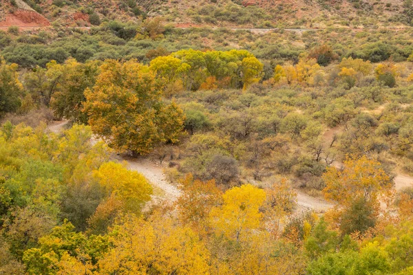 Sonbaharda Verde Nehri Kanyonu 'nun manzaralı manzarası Arizona