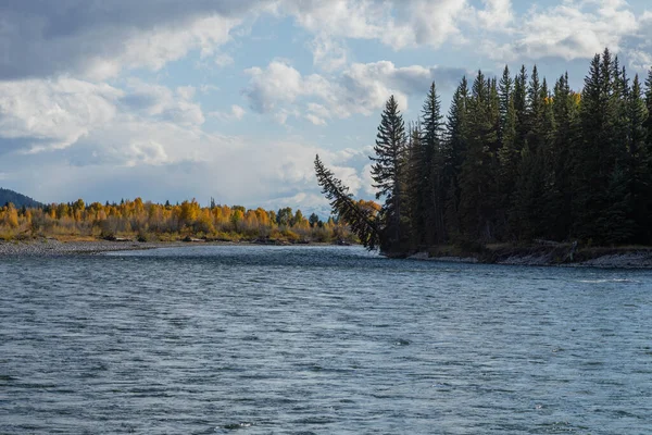 Eine Malerische Landschaft Grand Teton National Park Wyoming Herbst — Stockfoto