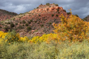 Sonbaharda Verde Nehri Kanyonu Arizona 'da manzara manzarası