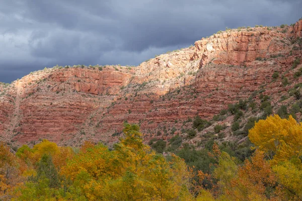Paesaggio Panoramico Nel Verde River Canyon Arizona Autunno — Foto Stock