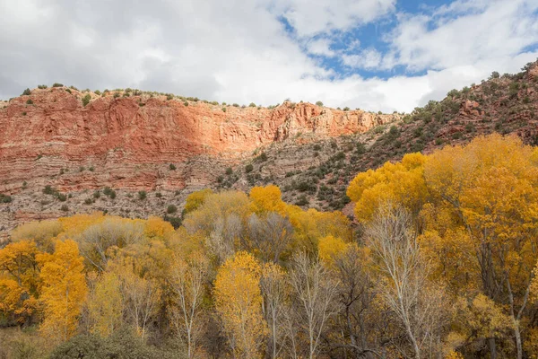 Een Schilderachtig Herfstlandschap Verde River Canyon Arizona — Stockfoto