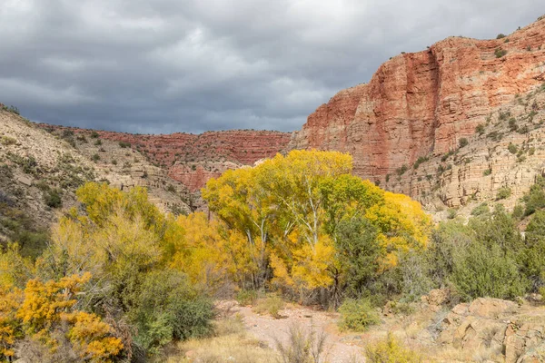 Malowniczy Jesienny Krajobraz Kanionie Rzeki Verde Arizona — Zdjęcie stockowe