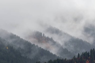 Sonbaharda Snake River Idaho boyunca manzaralı bir manzara.