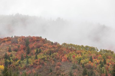 Sonbaharda Snake River Idaho boyunca manzaralı bir manzara.