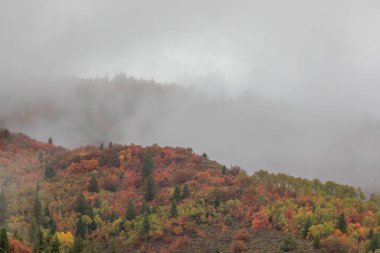 Sonbaharda Snake River Idaho boyunca manzaralı bir manzara.