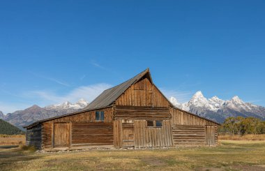 Ünlü asistan. Sonbaharda Grand Teton Ulusal Parkı 'ndaki Moulton ahırı.