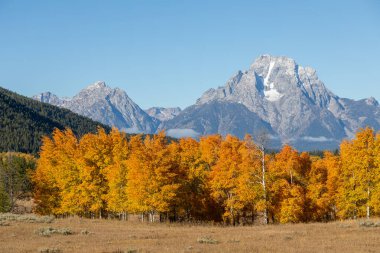 Grand Teton Ulusal Parkı Wyoming 'de manzaralı bir sonbahar manzarası.