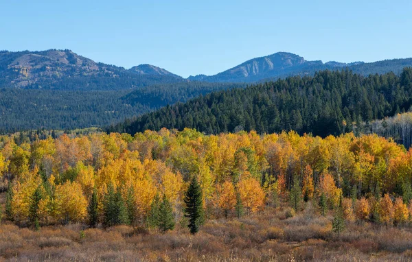 Scenic Autumn Landscape Grand Teton National Park Wyoming — Stock Photo, Image