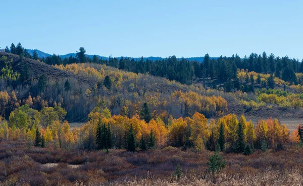 Grand Teton Ulusal Parkı Wyoming Manzaralı Bir Sonbahar Manzarası — Stok fotoğraf