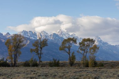 Kar Wyoming, Auutmn 'daki Teton Sıradağları' nın yüzeyi karla kaplıydı.