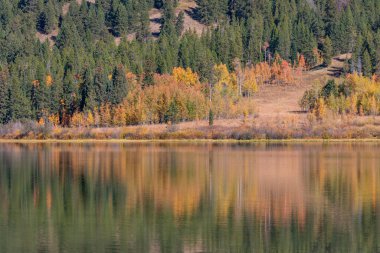 Grand Teton Ulusal Parkı Wyoming 'de sonbaharda iki okyanus gölünün manzaralı yansıması.