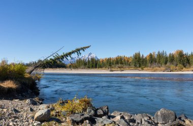 Grand Teton Ulusal Parkı 'nda sonbaharda Wyoming' de manzaralı Yılan Nehri