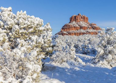 Sedona Arizona 'nın kırmızı kayalıklarında kışın manzaralı bir kar manzarası.