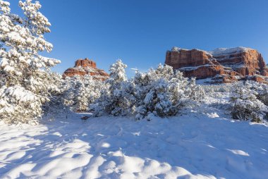 Sedona Arizona 'nın kırmızı kayalıklarında kışın manzaralı bir kar manzarası.