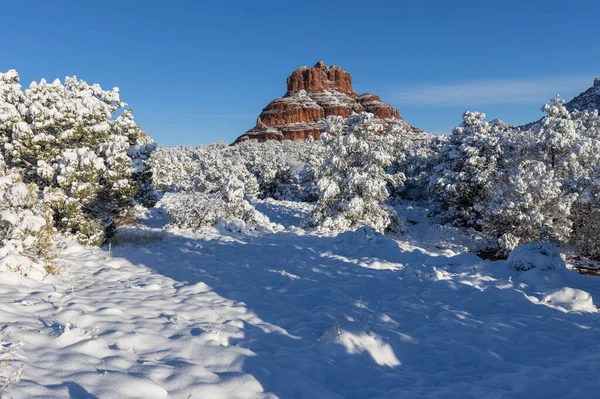 Sedona Arizona 'nın kırmızı kayalıklarında kışın manzaralı bir kar manzarası.