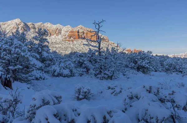 Peisaj Iarnă Acoperit Zăpadă Rocile Roșii Din Sedona Arizona — Fotografie, imagine de stoc