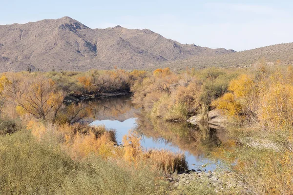 Paisaje Pintoresco Largo Del Río Upper Verde Desierto Arizona Otoño — Foto de Stock