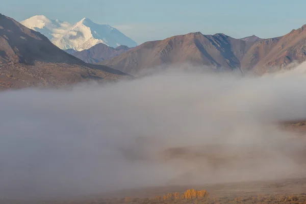 秋のデナリ国立公園アラスカの風景 — ストック写真