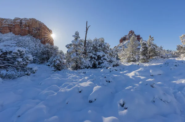 Paisaje Nevado Sedona Arizona Invierno —  Fotos de Stock