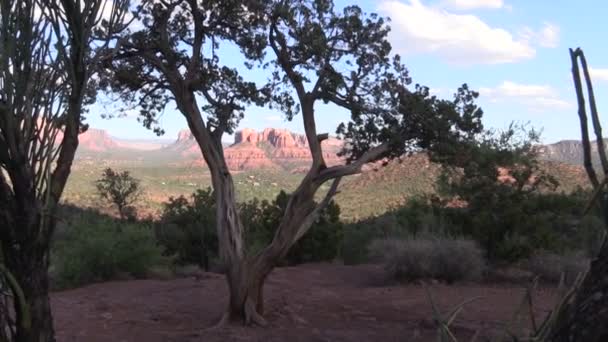 Landschaftliche Landschaft von Sedona Arizona — Stockvideo
