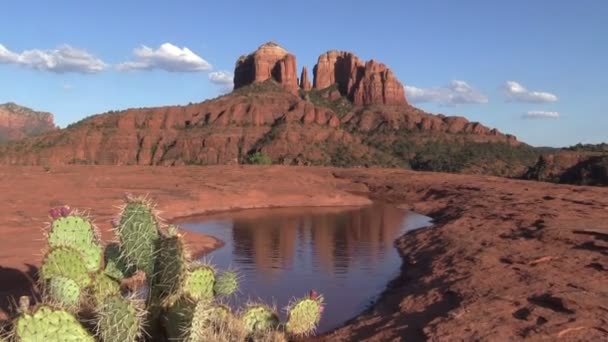 Cathedral Rock Sedona Arizona Landscape Reflection — Stock Video