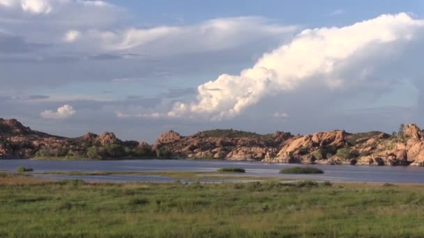 Wierzba nad jeziorem prescott arizona — Wideo stockowe