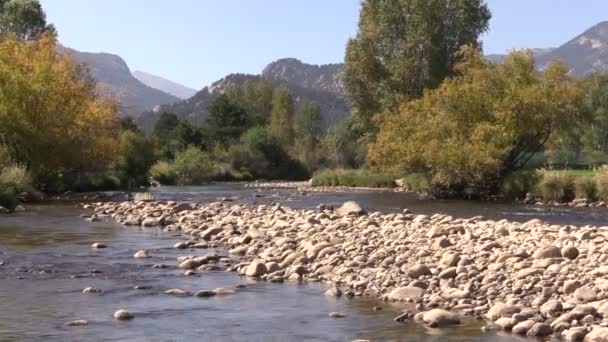 Gebirgsbach im Herbst — Stockvideo