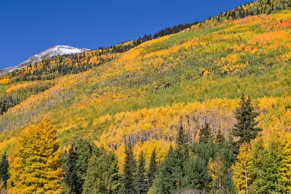 Paisaje de montaña de otoño — Foto de Stock