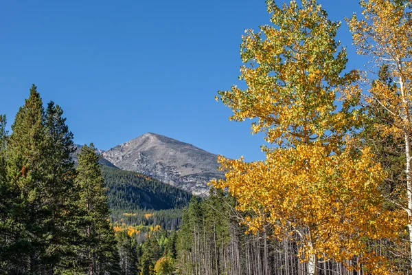 Paysage de montagne d'automne — Photo