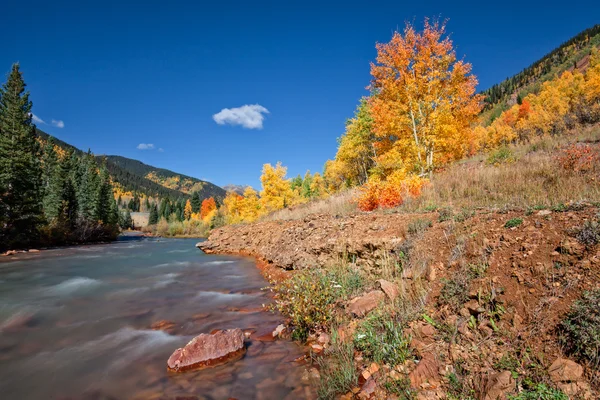 Fall Mountain Stream Paesaggio — Foto Stock