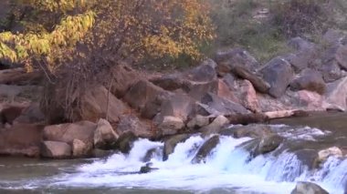 Virgin River Zion National Park