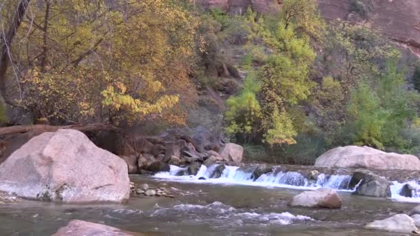 Národní park zion Virgin river — Stock video