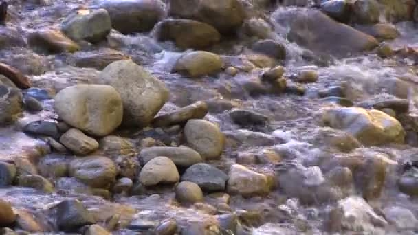 Virgin River Zion National Park — Stok video