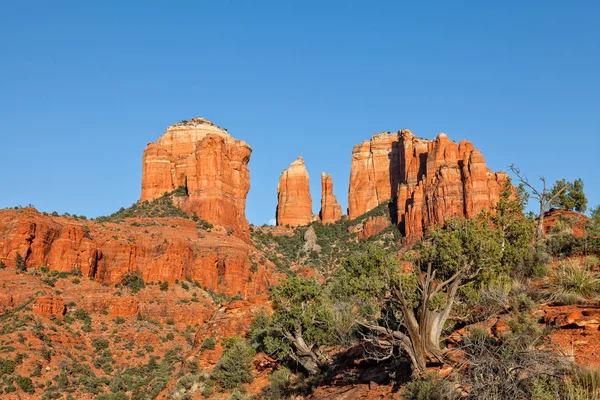 Cathedral Rock Moonrise — Stock Photo, Image