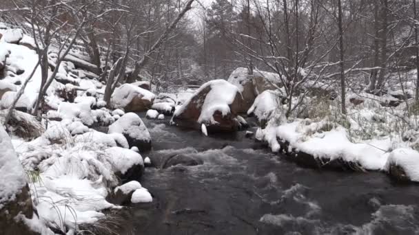 Stream vloeiende via winters landschap — Stockvideo