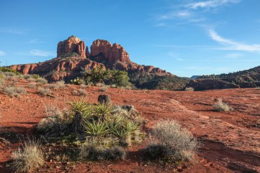 Katedral Rock manzara