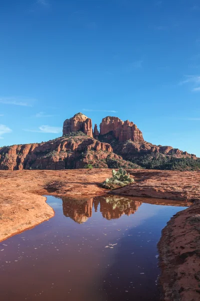 Cathedral Rock Reflection — Stock Photo, Image