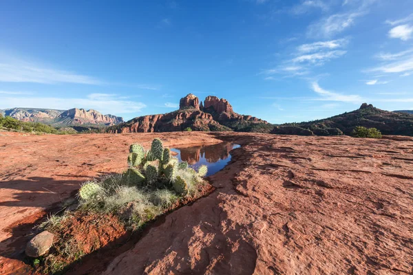 Cathedral Rock Landscape — Stock Photo, Image