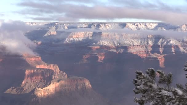 Grand canyon v zimě — Stock video