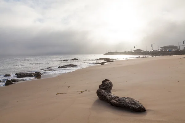 Côte californienne Lever du soleil — Photo