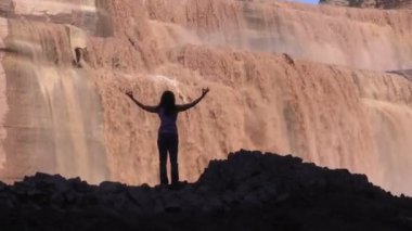 Siyah kuyruklu geyik.