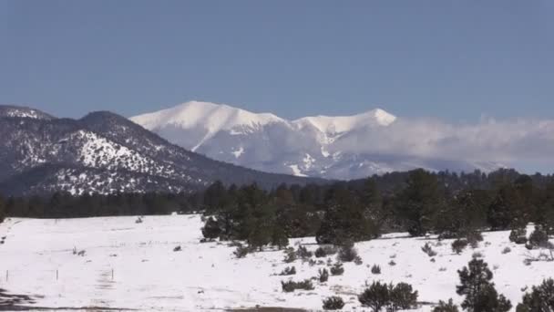 Berglandschap in de winter — Stockvideo