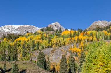 Colorado rocky Dağları Güz